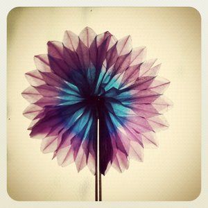 Meet your Posher, Jillian